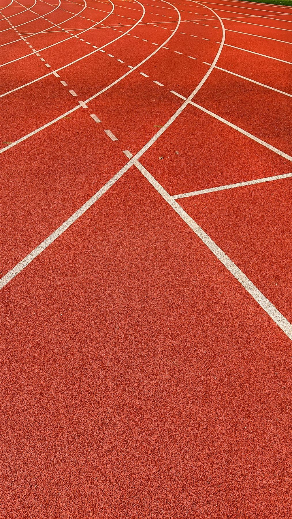 Línies blanques d'una pista d'atletisme